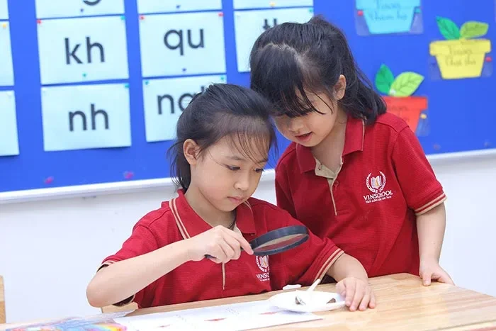 Tổng quan về chương trình giáo dục tiểu học tại Việt Nam