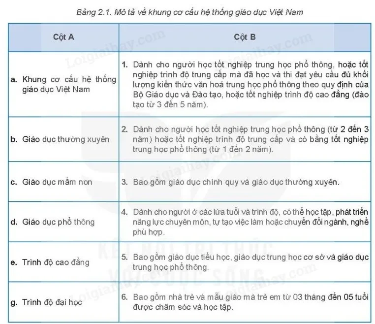 Cơ hội nghề nghiệp sau khi tốt nghiệp THPT tại Việt Nam