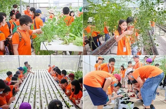 Các cuộc thi học thuật