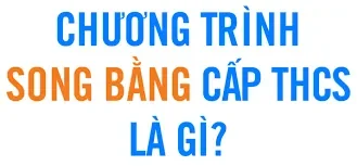 Những điều cần biết về chương trình THCS ở Việt Nam